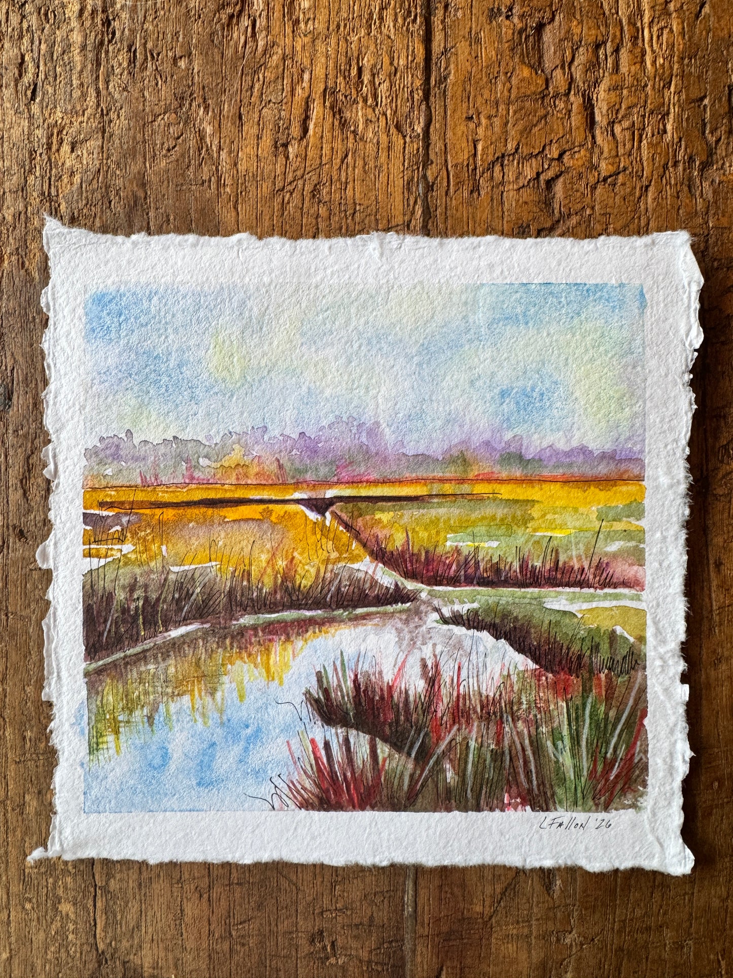 Sunset on a marsh