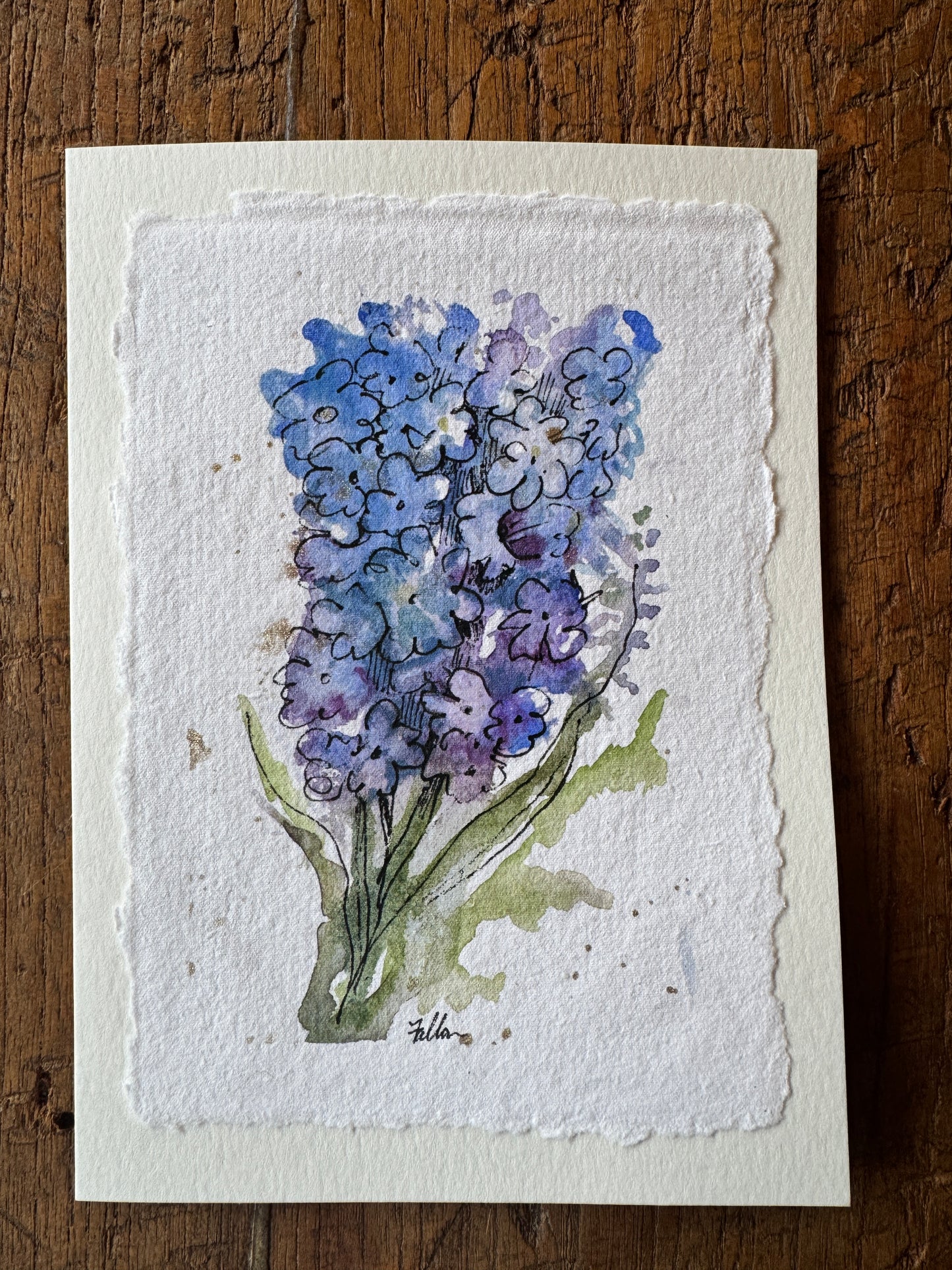 Delphinium II