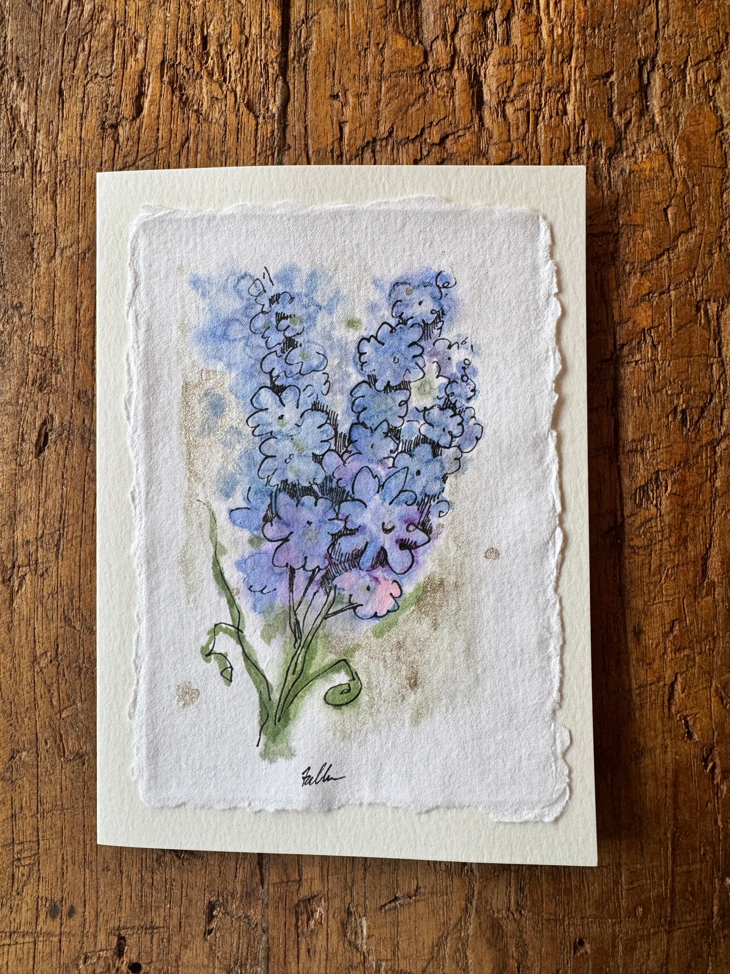 Delphinium