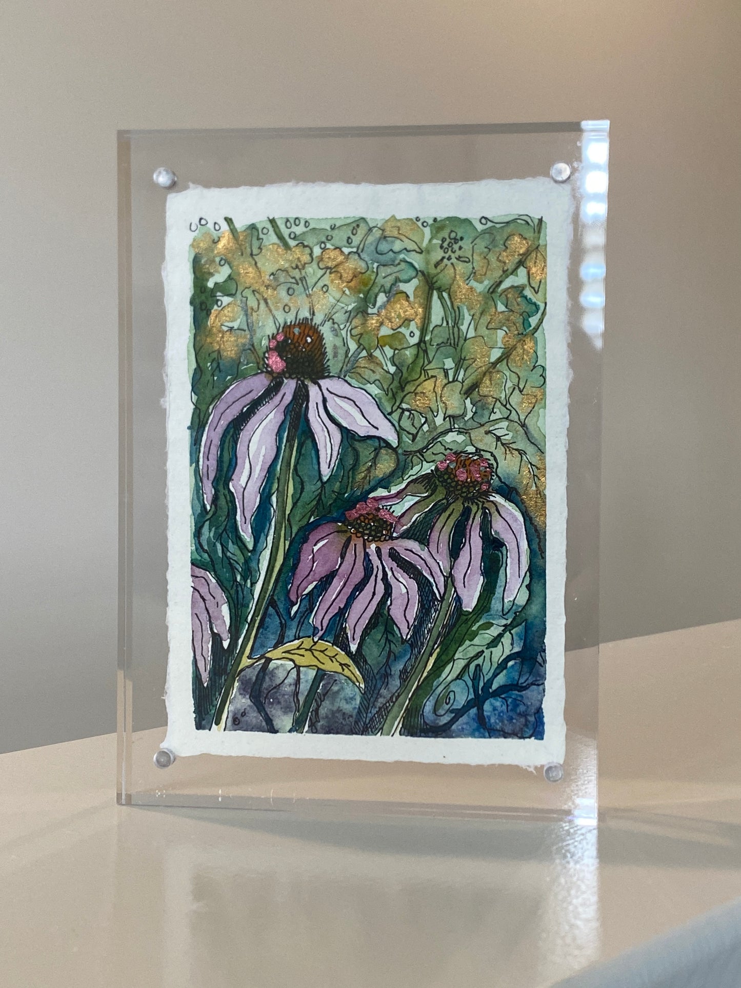 Coneflowers