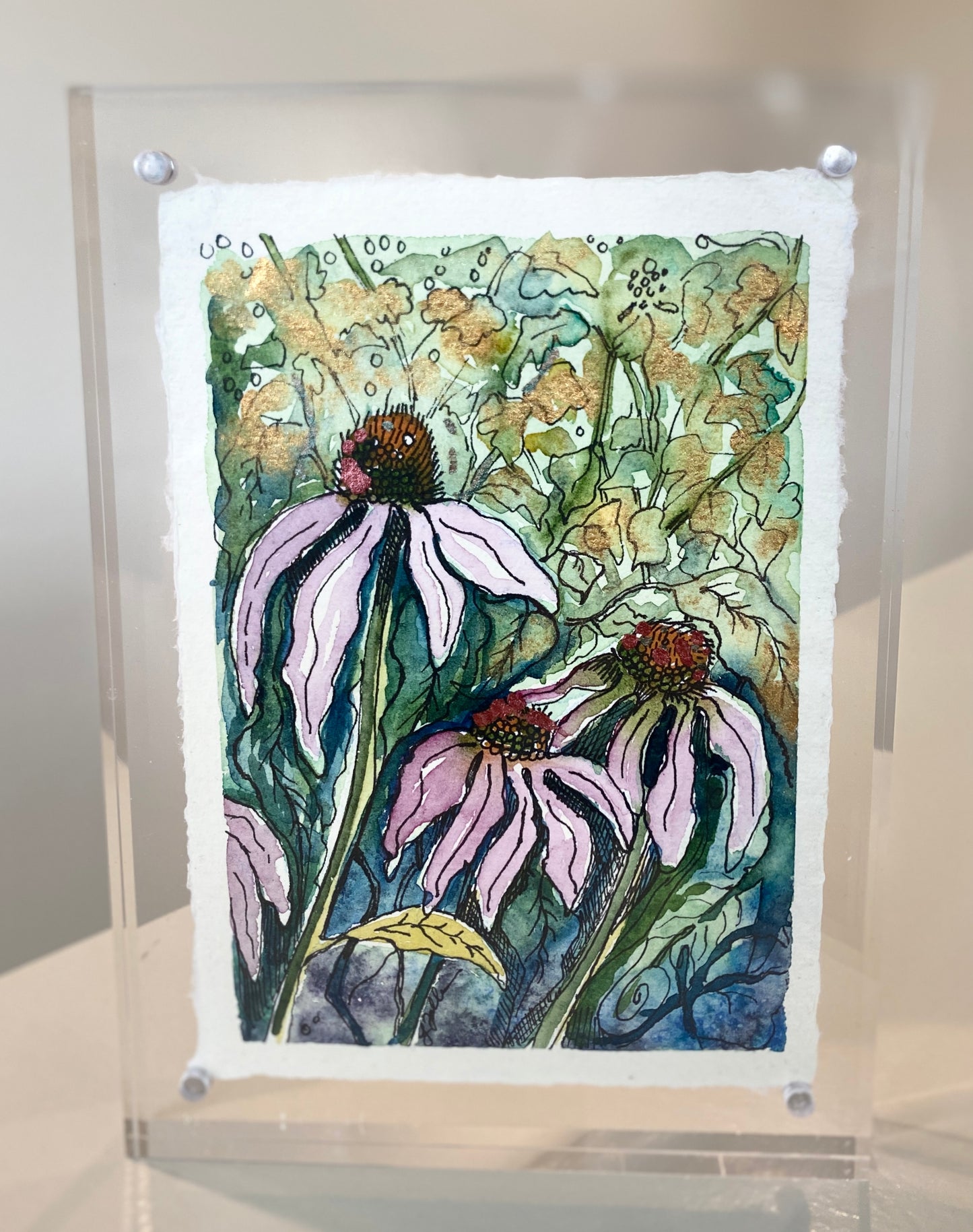 Coneflowers
