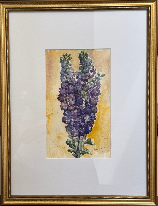 Delphinium framed watercolor
