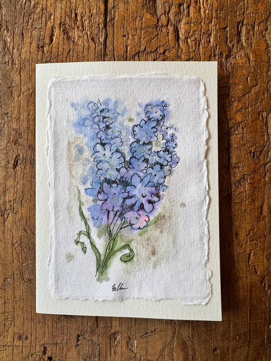 Delphinium