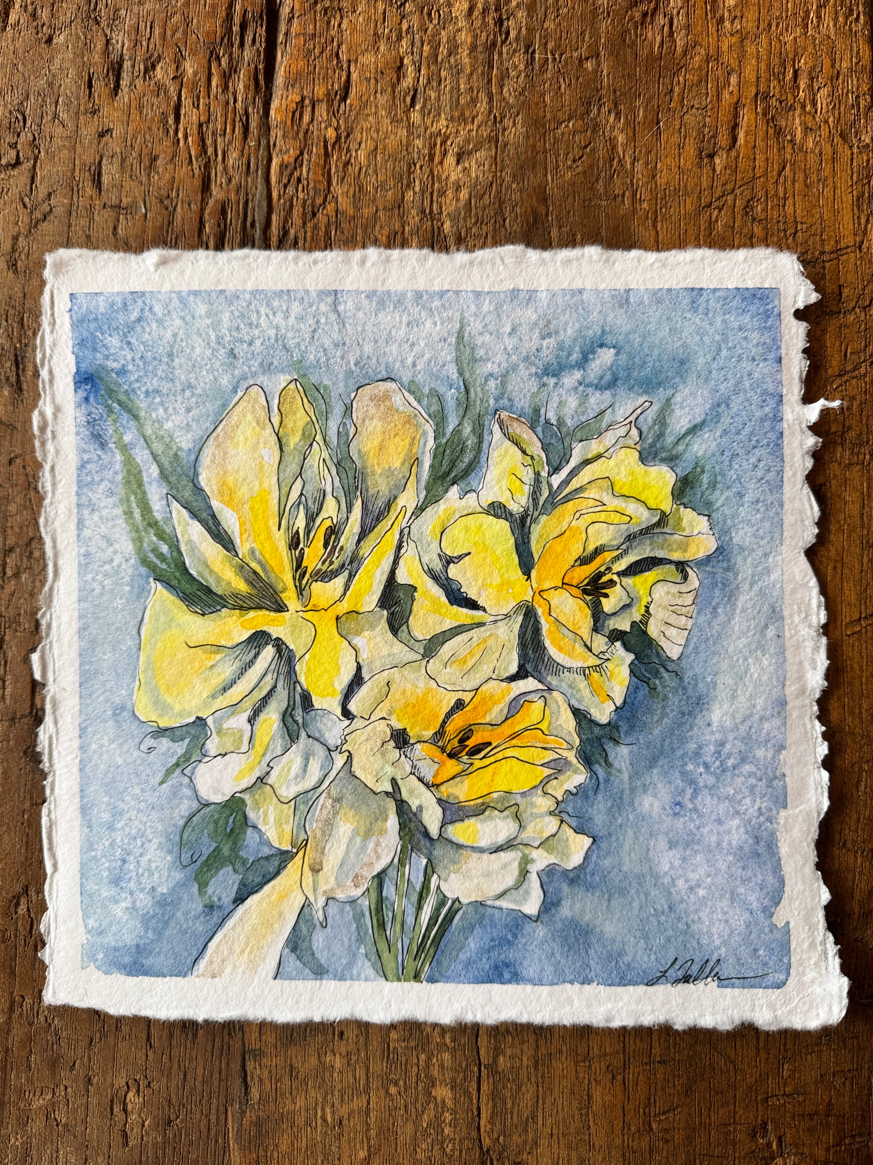 Tulip Fray – Lisa Fallon Art